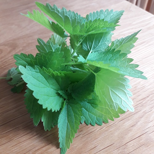 Žihľava Urtica dioica cca 100 g